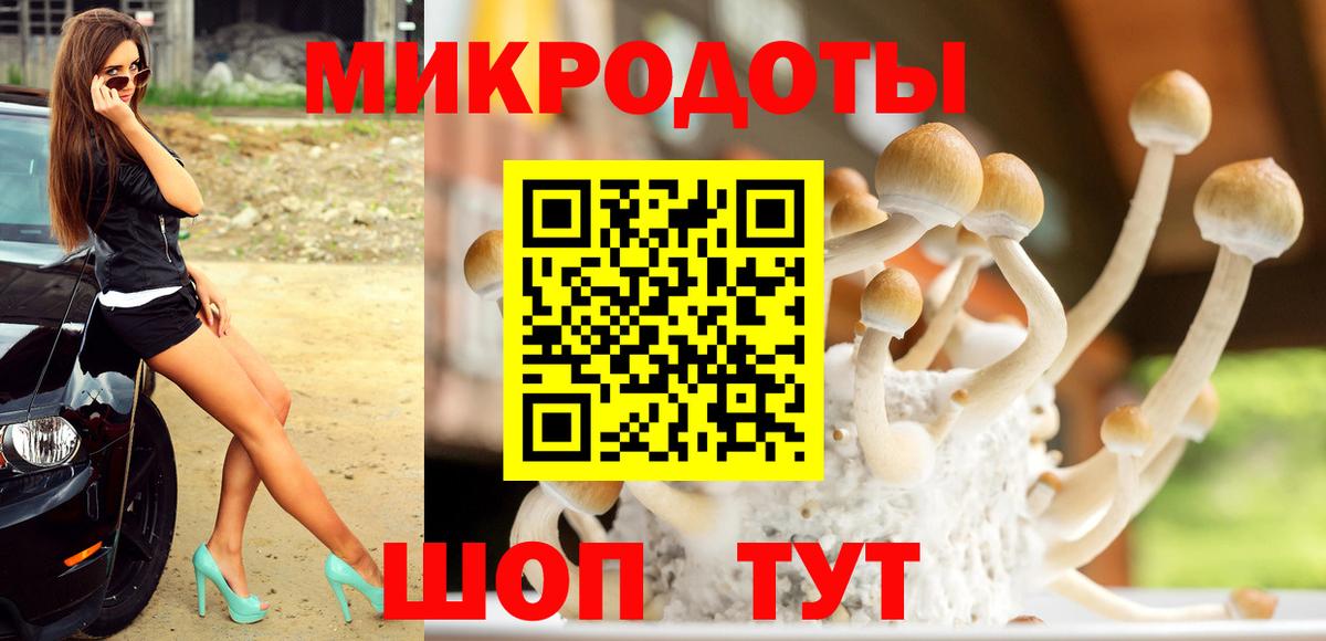 цены наркотик  Вход с VPN  Ноябрьск  Галлюциногенные грибы Magic Shrooms 